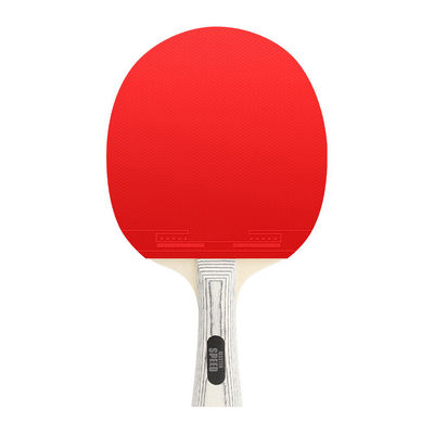 مضربات التحكم للعب تنس الطاولة